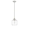 Asheville Silver Glass Globe Pendant Light