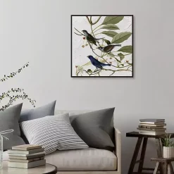 Audubon Indigo Bird Framed Canvas Art Print