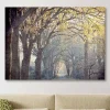 Avenue Of Trees Canvas Art Print