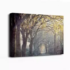 Avenue Of Trees Canvas Art Print