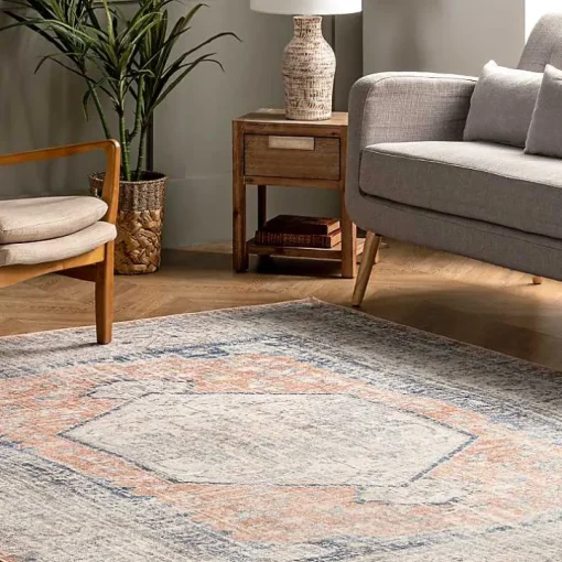 Bea Distressed Vintage Washable Area Rug, 8x10