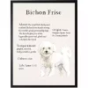 Bichon Frise Facts Framed Wall Plaque