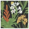 Black Botanical Villa Peel & Stick Wallpaper