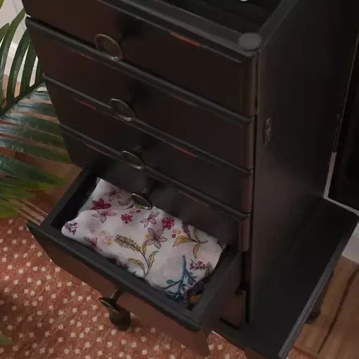 Black 5-Drawer Ollie Petite Jewelry Armoire