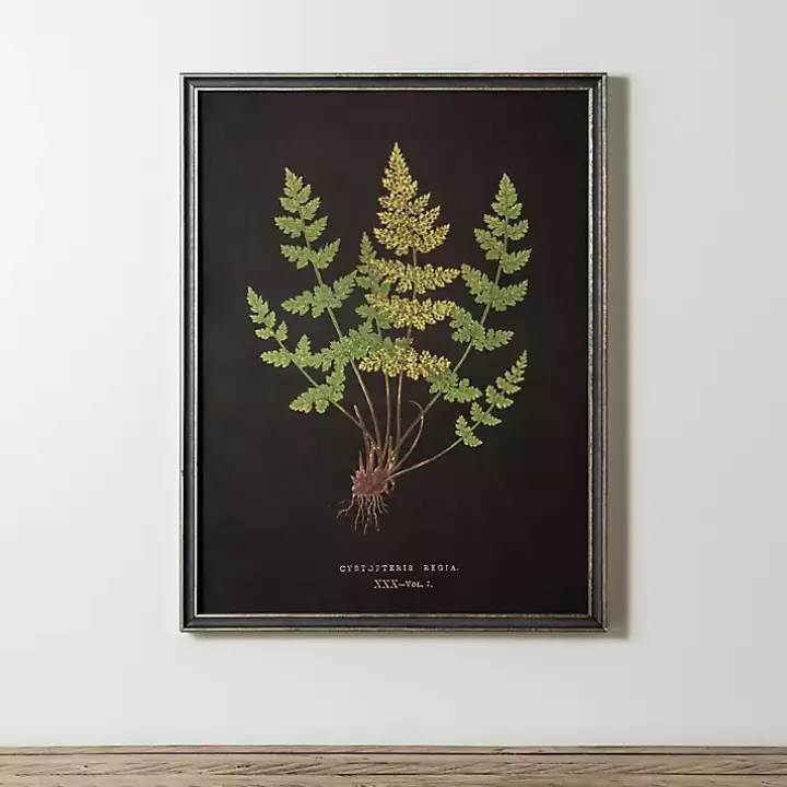 Black Fern V Framed Art Print