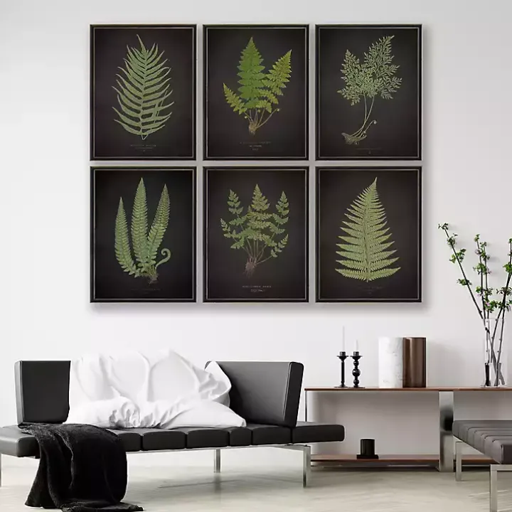 Black Fern V Framed Art Print