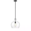 Black Glass Globe Pendant Light