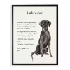 Black Lab Facts Framed Wall Plaque