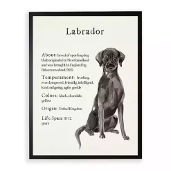 Black Lab Facts Framed Wall Plaque