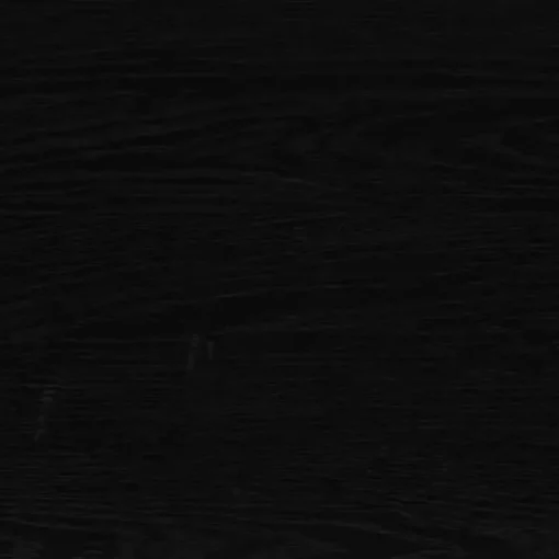 Black Wood and Rattan 2-Door Sideboard