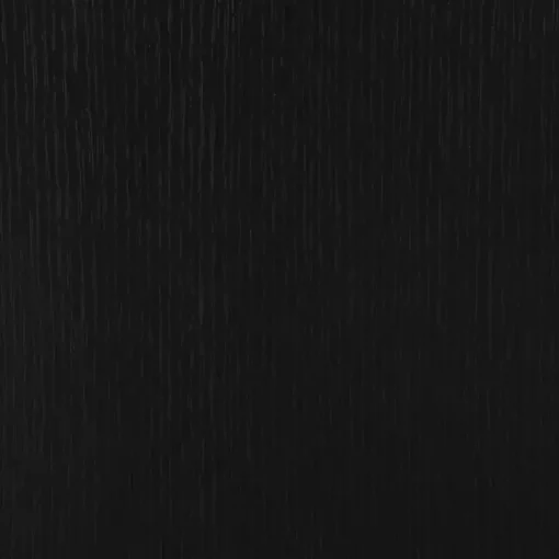 Black Wood X Doors Media Cabinet