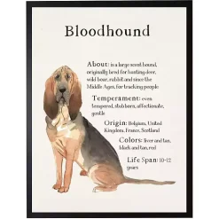 Bloodhound Facts Framed Wall Plaque