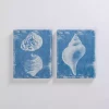 Blue & White Seashells Canvas Art Prints, Set of 2