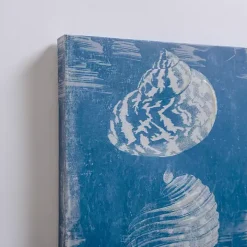 Blue & White Seashells Canvas Art Prints, Set of 2