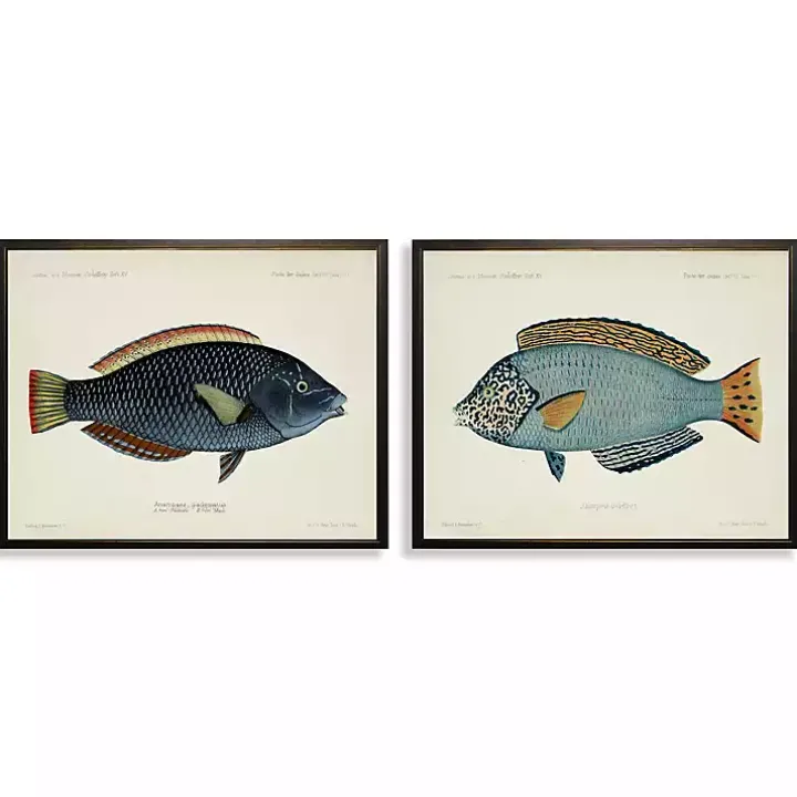 Blue Fish Framed Art Prints, Set of 2