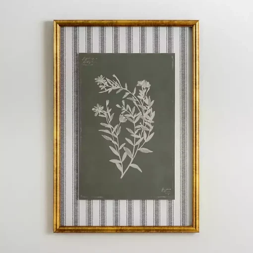 Botanical Stripes II Framed Art Print
