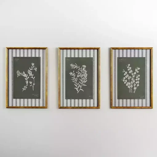 Botanical Stripes III Framed Art Print