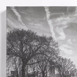 Bridge in Central Park Canvas Art Print