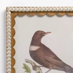 Brown Birds Scalloped Framed Art Print