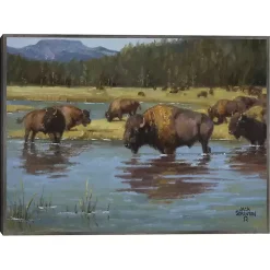 Buffalo Crossing Framed Canvas Art Print