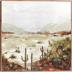 Cactus Canyon Western Framed Canvas Art