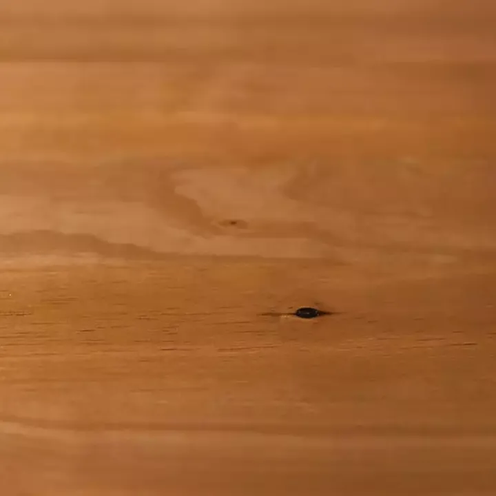 Caramel Wood Spindle Headboard Queen Bed