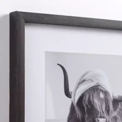 Cow in Bubble Bath Framed Art Prints, Set of 2