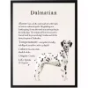 Dalmation Facts Framed Wall Plaque