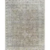 Darling Traditional Washable Area Rug, 6x9