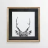 Deer Antlers Framed Art Print