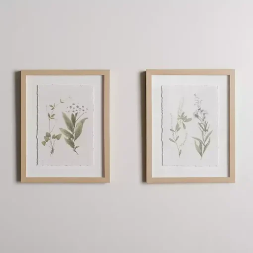 Delicate Botanical Framed Art Prints, Set of 2
