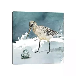 Delray Sandpiper Canvas Art Print