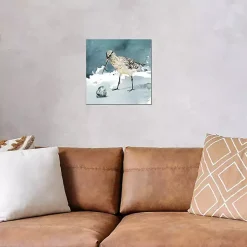 Delray Sandpiper Canvas Art Print