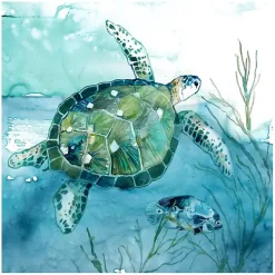 Delray Sea Turtle I Giclee Canvas Art Print
