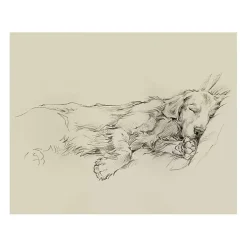 Dog Days III Canvas Art Print