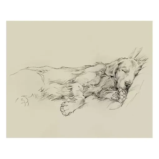 Dog Days III Canvas Art Print