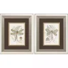 Dragonfly Silver Framed Art Prints, Set of 2