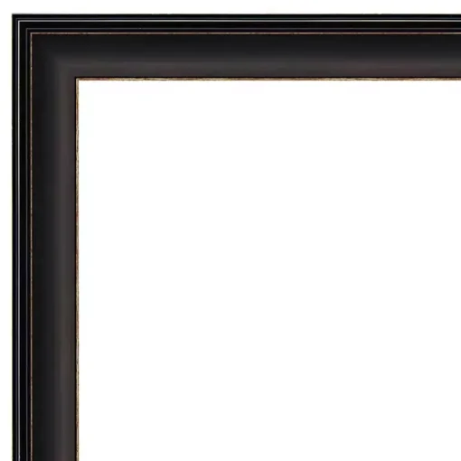 Espresso Bronze Frame Beveled Mirror
