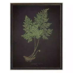 Fern Bookplate VII Framed Art Print
