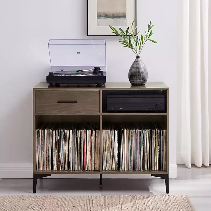 Finn Record Storage Media Cabinet