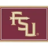 Florida State University Area Rug, 4x6