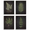 Four Ferns Framed Art Prints, Set of 4