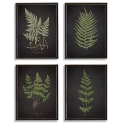 Four Ferns Framed Art Prints, Set of 4