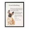 French Bulldog Boxer Facts Framed Wall Plaque