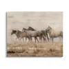 Galloping Horse Herd Canvas Art Print, 48x36 in.