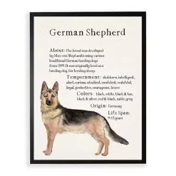 German Shepherd Facts Framed Wall Plaque