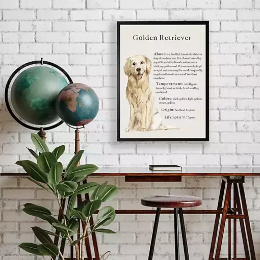 Golden Retriever Boxer Facts Framed Wall Plaque