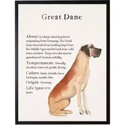 Great Dane Facts Framed Wall Plaque