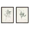 Greenery I Framed Art Prints, Set of 2