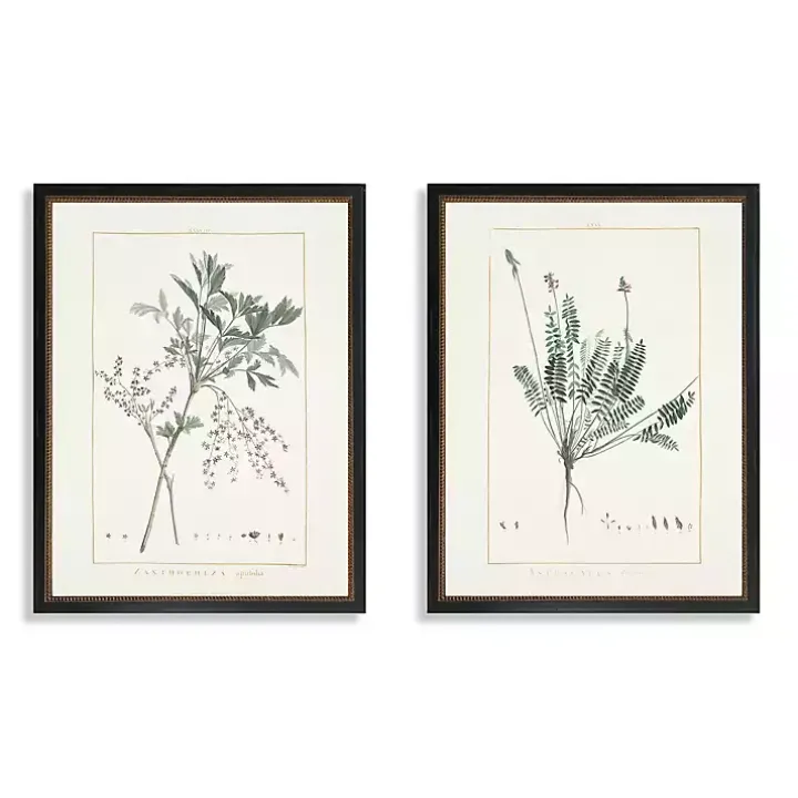 Greenery I Framed Art Prints, Set of 2